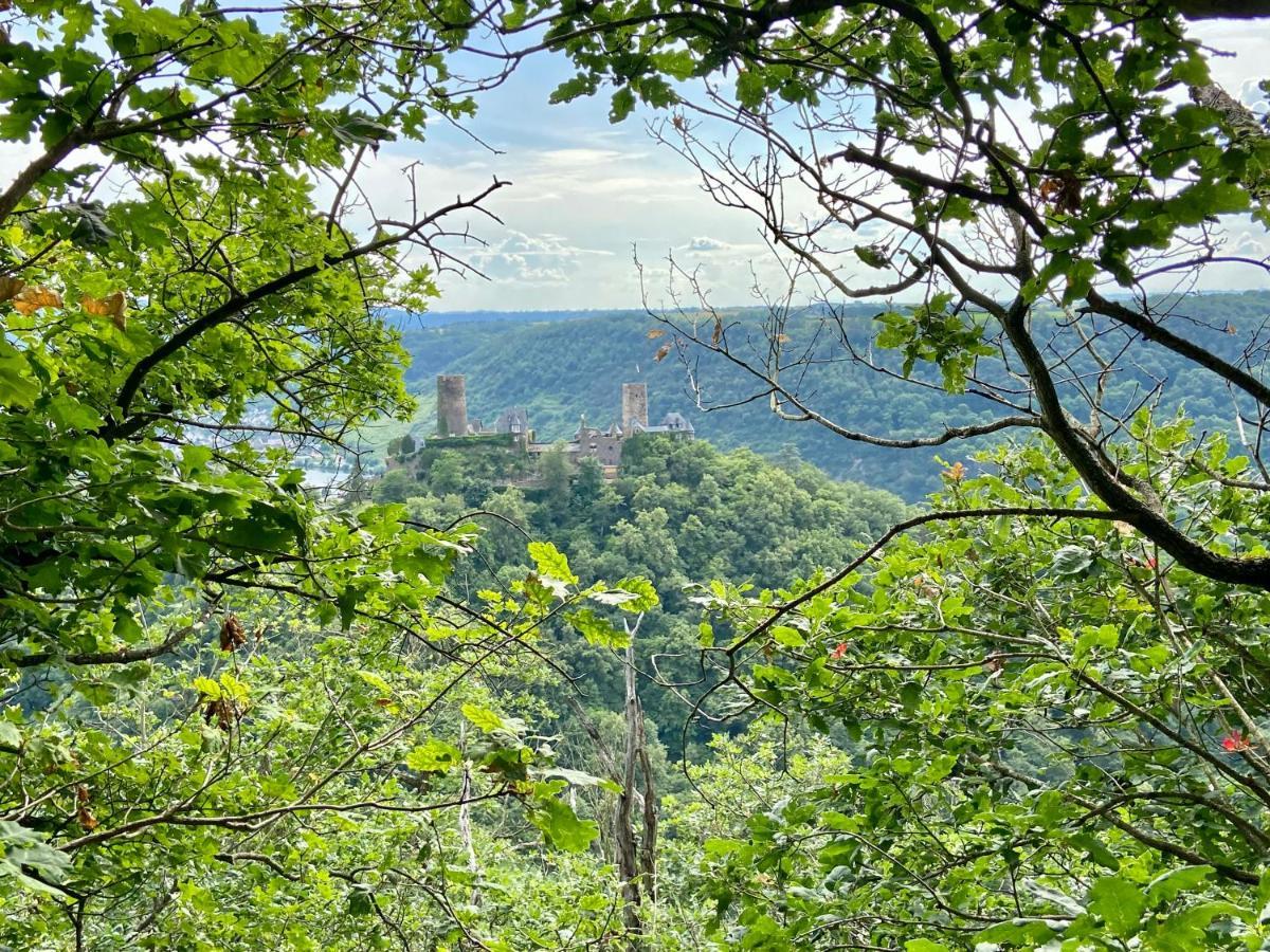 Ferienwohnung Auf Der Moselhoehe - Naehe Koblenz Und Cochem Dieblich Exteriér fotografie