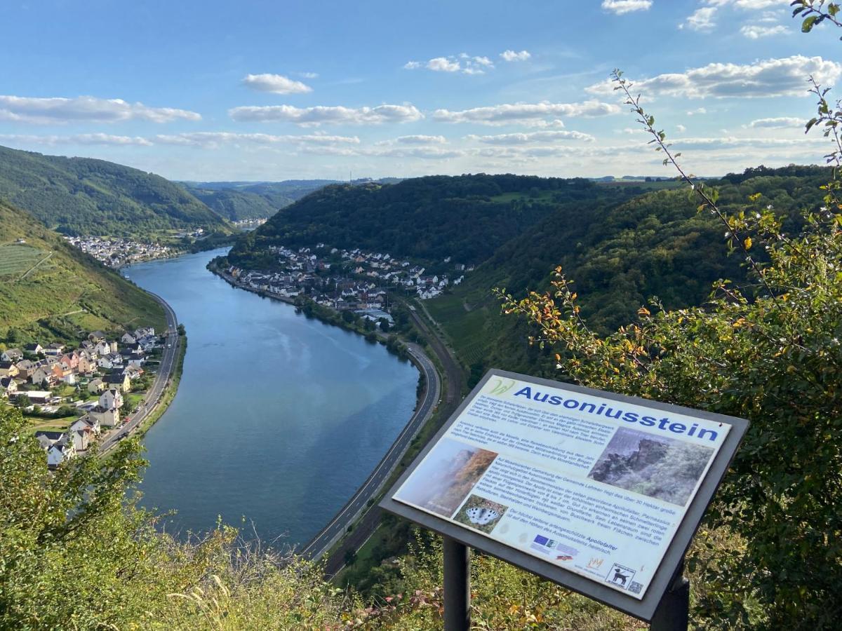 Ferienwohnung Auf Der Moselhoehe - Naehe Koblenz Und Cochem Dieblich Exteriér fotografie
