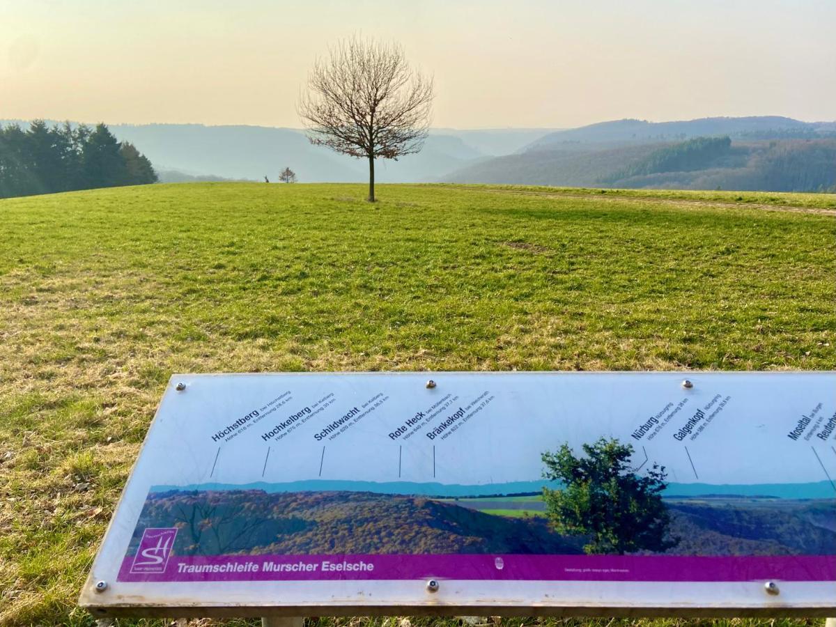 Ferienwohnung Auf Der Moselhoehe - Naehe Koblenz Und Cochem Dieblich Exteriér fotografie