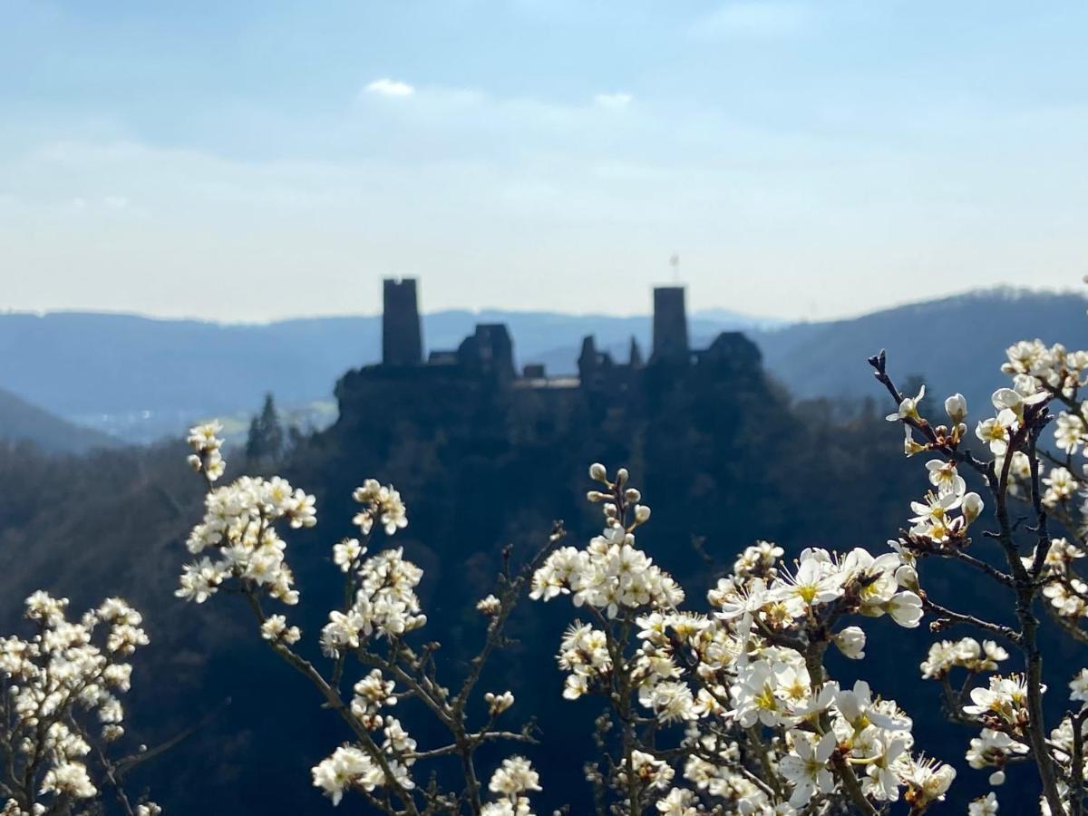 Ferienwohnung Auf Der Moselhoehe - Naehe Koblenz Und Cochem Dieblich Exteriér fotografie