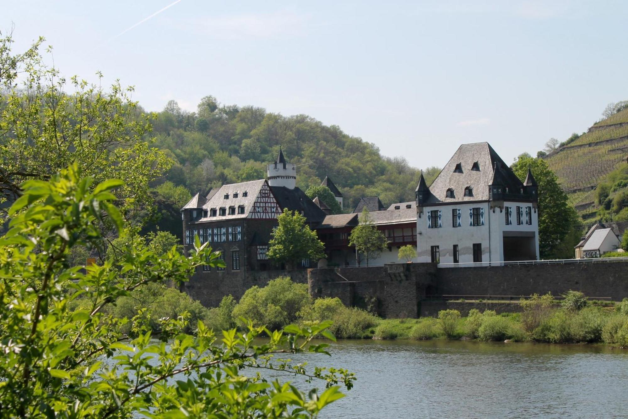 Ferienwohnung Auf Der Moselhoehe - Naehe Koblenz Und Cochem Dieblich Exteriér fotografie