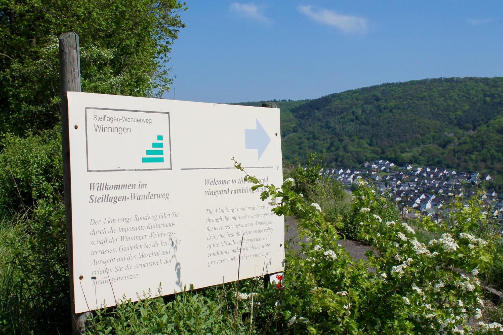 Ferienwohnung Auf Der Moselhoehe - Naehe Koblenz Und Cochem Dieblich Exteriér fotografie