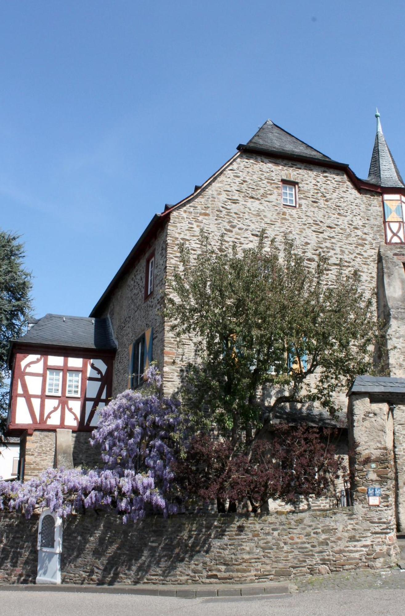 Ferienwohnung Auf Der Moselhoehe - Naehe Koblenz Und Cochem Dieblich Exteriér fotografie