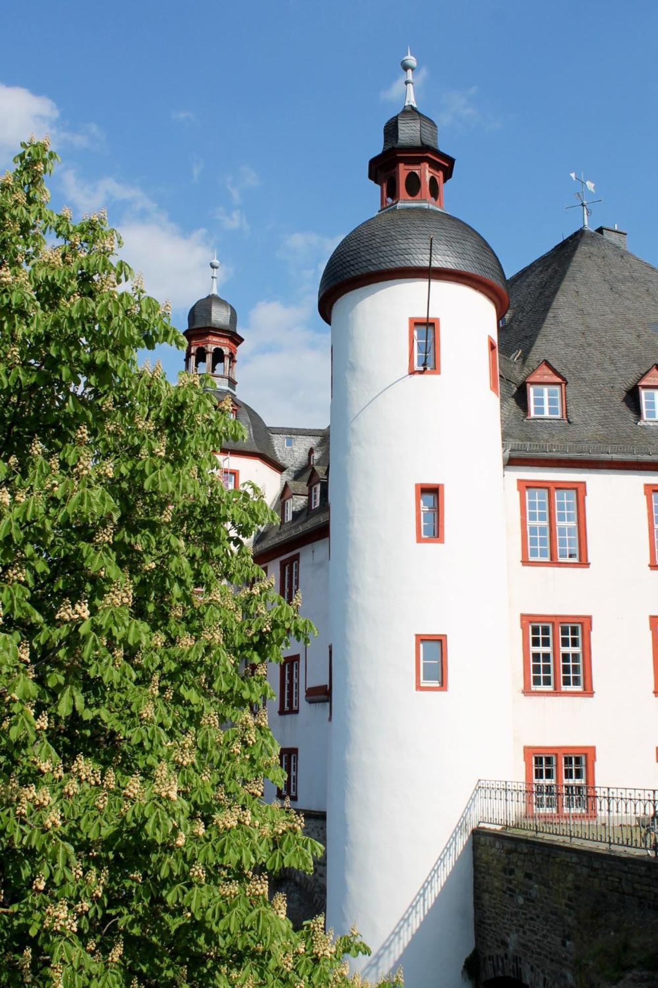 Ferienwohnung Auf Der Moselhoehe - Naehe Koblenz Und Cochem Dieblich Exteriér fotografie