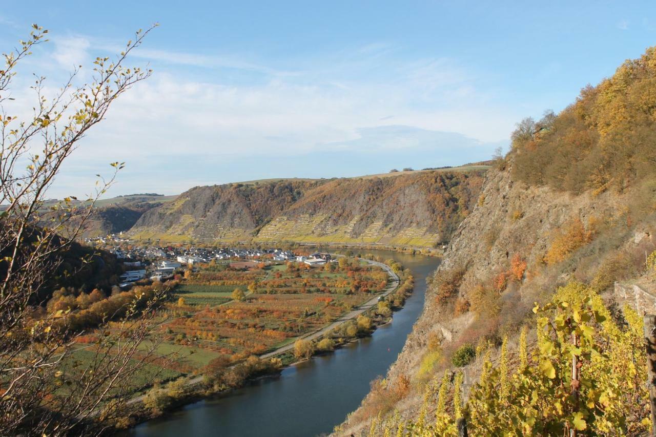 Ferienwohnung Auf Der Moselhoehe - Naehe Koblenz Und Cochem Dieblich Exteriér fotografie