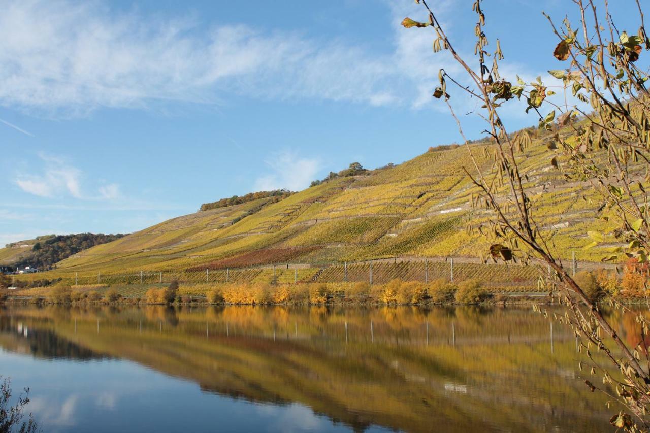 Ferienwohnung Auf Der Moselhoehe - Naehe Koblenz Und Cochem Dieblich Exteriér fotografie