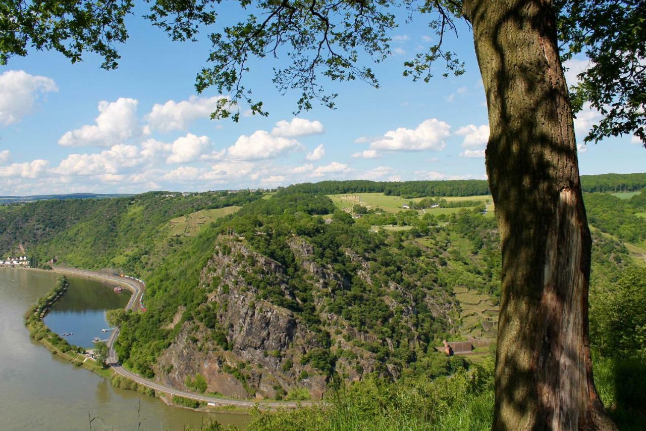 Ferienwohnung Auf Der Moselhoehe - Naehe Koblenz Und Cochem Dieblich Exteriér fotografie